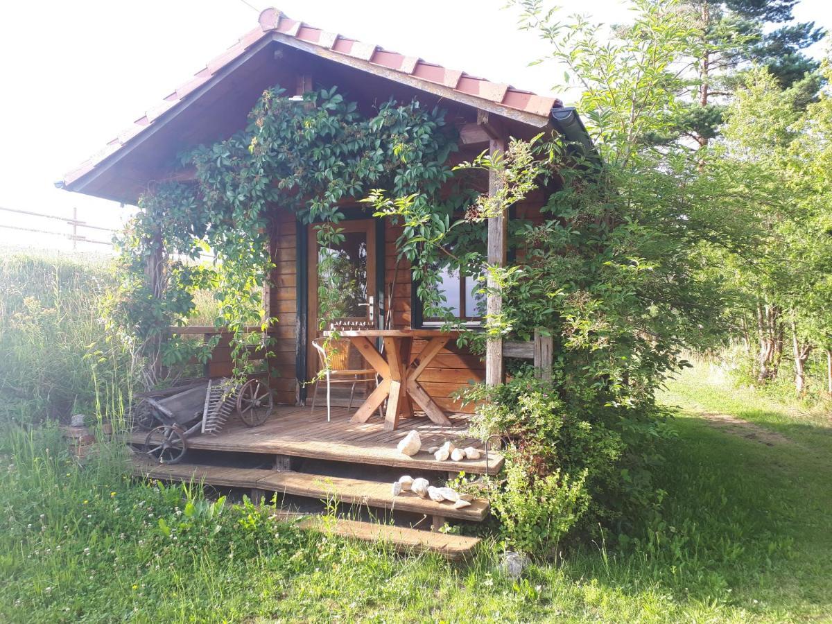 Ferienwohnung Am Dachsberg, Bayerischer Wald Haselbach Exteriér fotografie